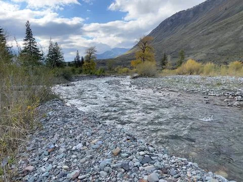 A mountain river close-up in variable weather. Fotos de archivo