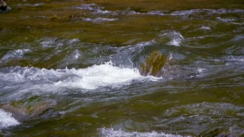Mountain river close up water Stock Footage 73811668