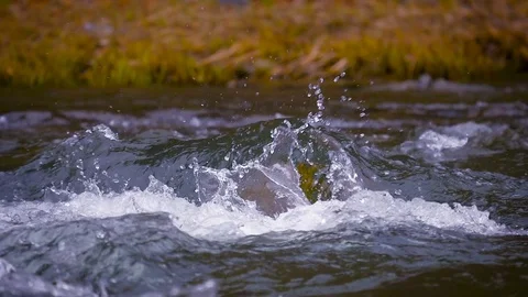 Mountain river close up water slow motion Stock Footage 73810509