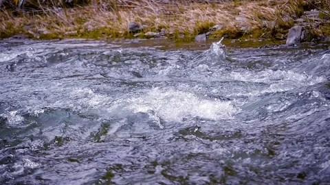 Mountain river close up water slow motion Stock Footage 73811111