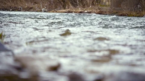 Mountain river close up water slow motion Stock Footage 73812333