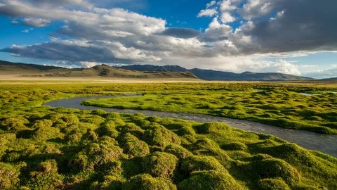 Mountain river on a cloudy day. Timelapse 4K Stock Footage 90829024