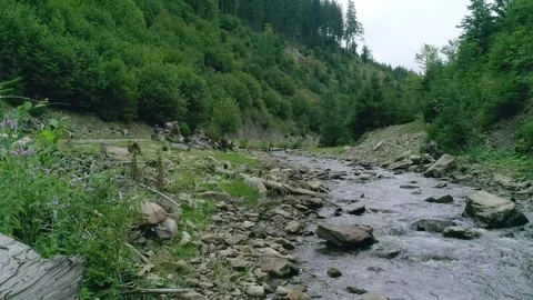Mountain river with cold and fresh water Stock Footage 313730669