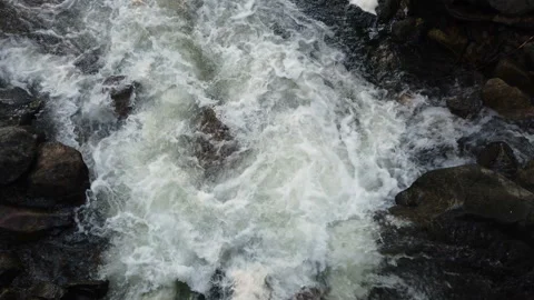 Mountain river, creek in a forest. Yosemite National Park, California. Stock-Footage 112160105