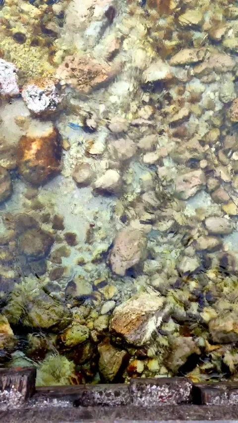 Mountain river. Crystal water flow. Video stock 152248180