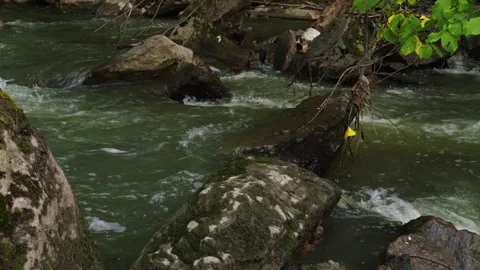 Mountain River Current Sliding Past Mossy Boulders in Norway Stock Footage 345720049