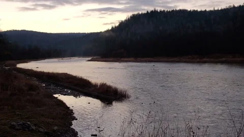 Mountain river at dawn in autumn Stock Footage 143389865