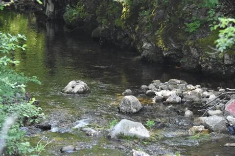 Mountain river in the day Stock Photos