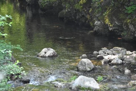 Mountain river in the day Stock Photos