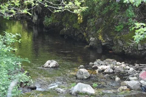 Mountain river in the day Stock Photos