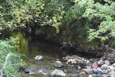 Mountain river in the day Stock Photos