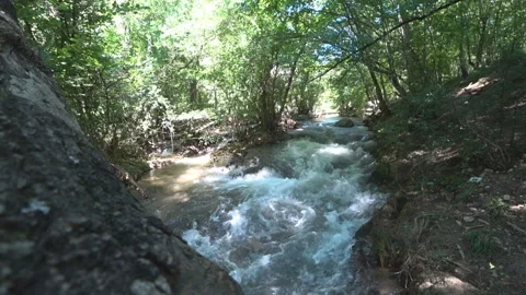 Mountain river in the deciduous forest Stock Footage 98795367