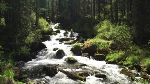 Mountain river at the deep Siberian forest, Khakassia, Russia Stock Footage 85315320