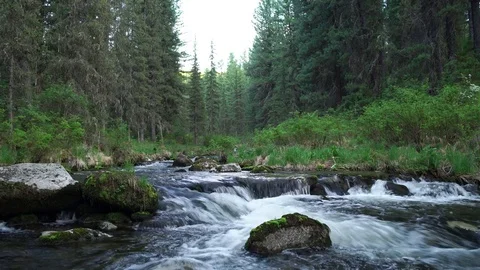 Mountain river at the deep Siberian forest, Khakassia, Russia Stock Footage 85387061