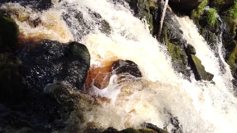 Mountain river in dense forest. rocky watercourse. view moves from bottom to top Stock Footage 134734981