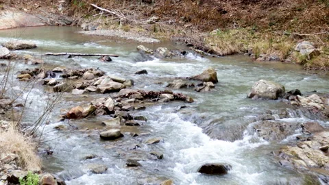 Mountain river from different angles, 4k close up video. 库存影片 189938568