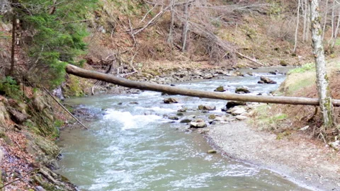Mountain river from different angles, 4k close up video. 스톡 동영상 189940917