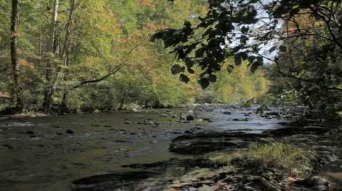 Mountain River, dolly push Video stock 908906