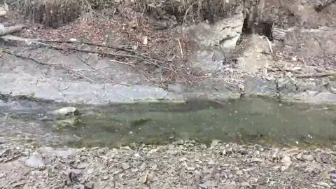 Mountain river during smowfall Stock Footage 69091340