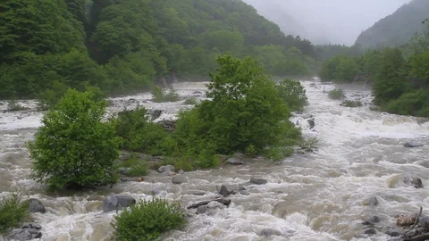 Mountain river during a typhoon. Stock Footage 100654724