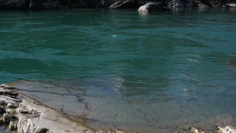 Mountain river with emerald colored water. Stock Footage 104671028