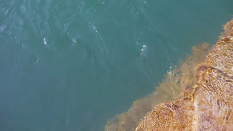 Mountain river with emerald colored water. Stock Footage 104673343