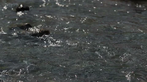 Mountain river, energy, fast flow, flowing Stock Footage 48296407