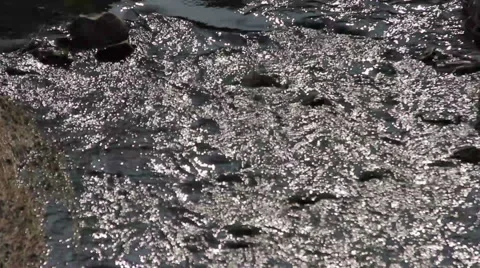 Mountain river, energy, fast flow, flowing Video stock 48299506