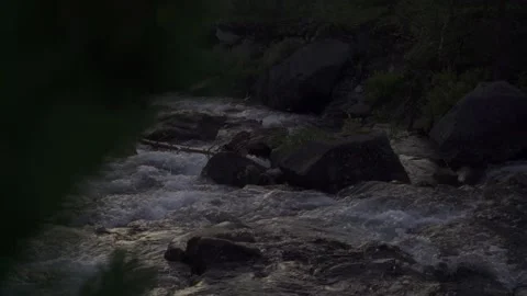Mountain river in the evening. Twilight in the forest Stock Footage 166521679