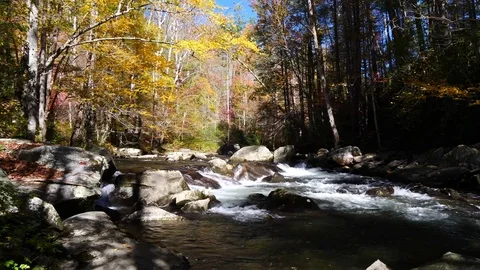Mountain River with Fall Colors  動画素材 81640852
