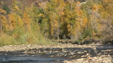 Mountain River in Fall Stock Footage 12572348