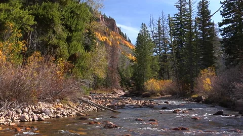 Mountain river in Fall, Uinta Mountains, Utah Stock Footage 47228306
