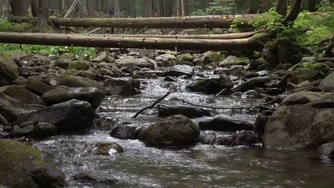 Mountain river with a fallen tree Stock Footage 79064559