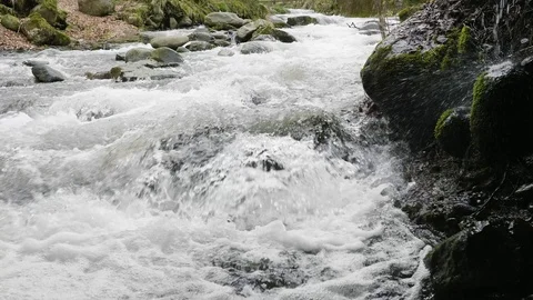 Mountain river far away in the forest Stockbeeldmateriaal 88809743