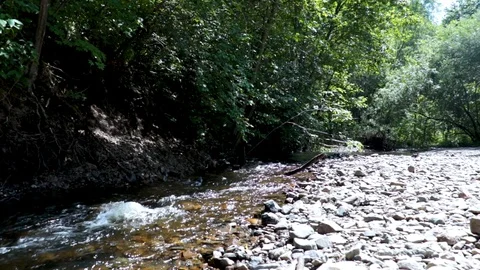 Mountain river in the Far East. Stock Footage 111207293