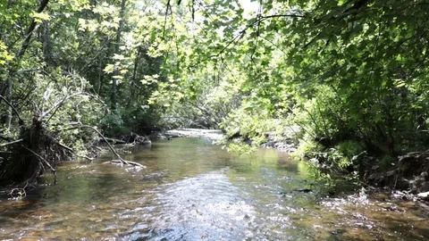 Mountain river in the Far East. Stock Footage 111207379