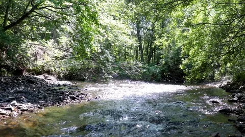 Mountain river in the Far East. Stock Footage 111207411