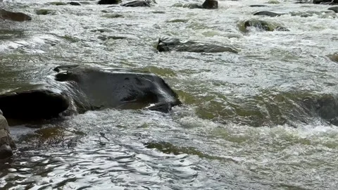 Mountain river with a fast current washes large mountain stones. Clear strong Stock Footage 246977857