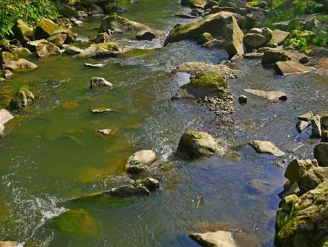 Mountain river with fast stream and big boulders Stock Photos