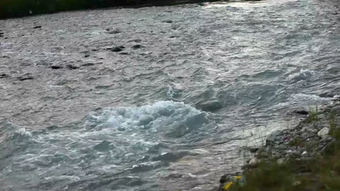 Mountain river. fast stream water. Russia Altai Stock Footage 95486121