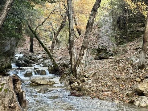 Mountain river fast for waterfall rapids stream autumn Stock Photos