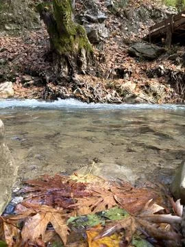 Mountain river fast for waterfall rapids stream autumn Stock-Fotos