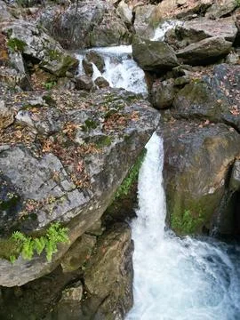 Mountain river fast for waterfall rapids stream autumn Stock Photos