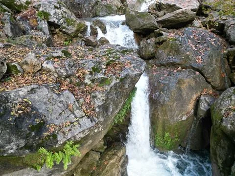 Mountain river fast for waterfall rapids stream autumn Foto stock