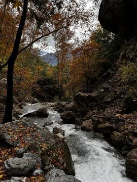 Mountain river fast for waterfall rapids stream autumn Foto stock