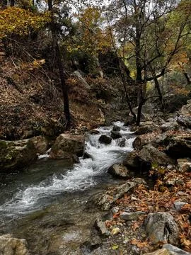 Mountain river fast for waterfall rapids stream autumn Foto stock
