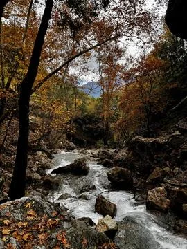 Mountain river fast for waterfall rapids stream autumn Foto stock
