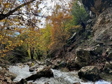 Mountain river fast for waterfall rapids stream autumn Stock Photos