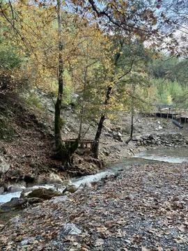 Mountain river fast for waterfall rapids stream autumn Foto stock