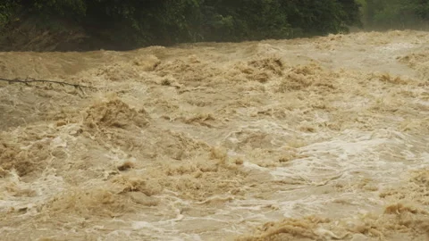 Mountain river flood. Deep dirty water carries trees, branches and garbage. Stock-Footage 135591655